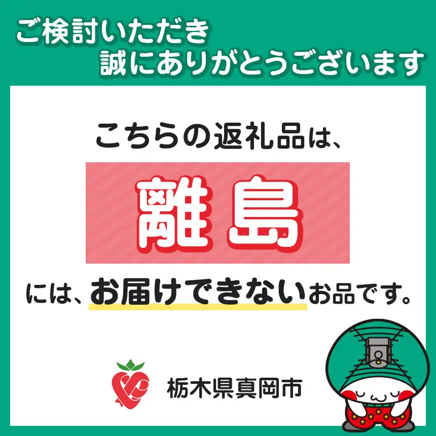 純銅製 浅型バスケット&トラップセット (銅スポンジ付)