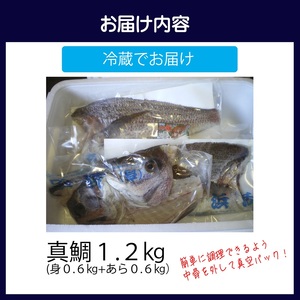 真鯛1匹柵どり済みで刺身・焼物・煮物に扱いやすさ抜群！よか鯛バイ！【B9-020】