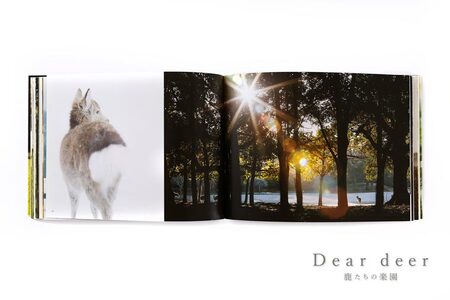 奈良の鹿 写真集「Dear deer 鹿たちの楽園」（KAZUTO PHOTO OFFICE 佐藤和斗） J-63
