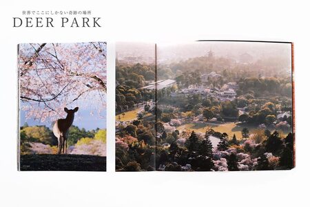 奈良の鹿 写真集「DEER PARK 世界でここにしかない奇跡の場所」奈良公園 サイン入り KAZUTO PHOTO OFFICE 佐藤和斗 I-193