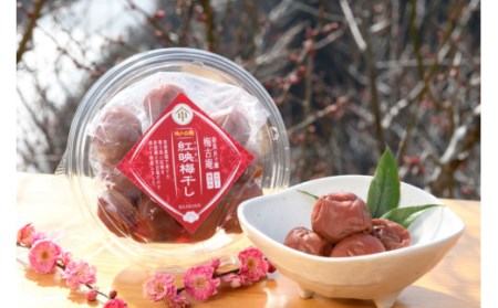 梅 梅干し 日本唯一！烏梅職人手づくり 七百年の伝統 本物梅づくし（竹）味比べ5点セット 無添加 25-038