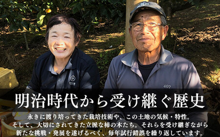 たねなし 柿 訳あり サイズ MIX 約 7kg | 田中農園 たねなし柿 | 奈良県 五條市