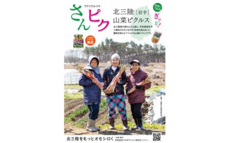 酸味ひかえめで「うまマイルド」！さんピクー北三陸山菜ピクルスー１本