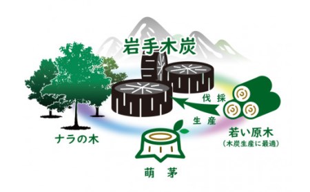 【火つき・火力・火持ちよしの国産高級木炭】岩手切炭（ＧＩ）3ｋｇ×8個　なら堅一級