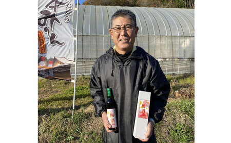 酒 菅谷たたらの梅酒 500ml×2本　 [AICD008]