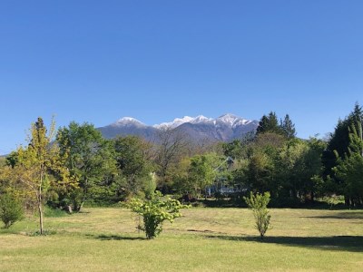 ー庭づくりと珈琲豆屋 BUNANOKIー自家焙煎珈琲豆オリジナルブレンド3種【中挽き】 [h209]