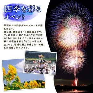 スピード発送!!【 JA 北つくば 】 JGAP認証 麦茶 1箱 ( 500ml × 24本 )