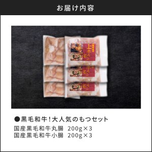 黒毛和牛 ！大人気の もつ （ ホルモン ）セット K002-006 肉 牛肉 冷凍