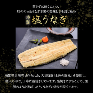 うなぎ蒲焼き・特製塩うなぎ 4本セット ( 110g×2尾 , 140g×2尾 ) 鰻 蒲焼 国産 冷凍 四万十 土用の丑の日 ／Esu-120