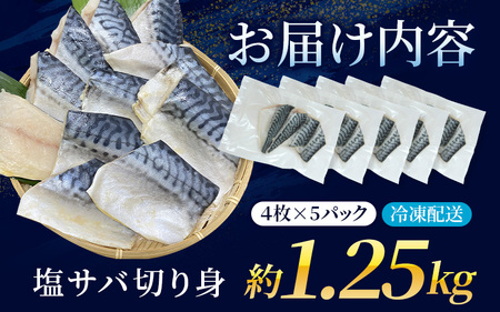 サバ 骨なし 切り身の鯖 無添加 塩さば 約1.25kg（250g×5パック 20枚）【nss501C】
