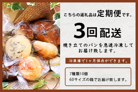 《3ヶ月定期便》【秘境・椎葉村の愛されパン屋さん】天然酵母パン 詰め合わせ 7種10個セット パン 定期便 天然酵母 詰め合せ セット メロンパン あん塩 バターロール おさつ ブレッド デニッシュ ミニ食パン レーズン バターロール NF-27