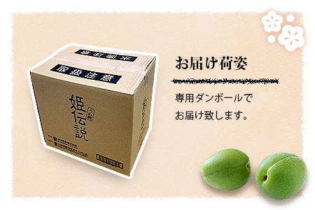 椎葉村産梅使用 梅酒「姫伝説」720ml×12本セット 梅酒 梅 お酒 ギフト SN-09