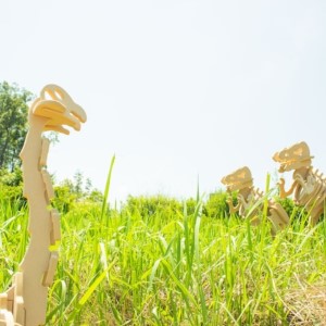 手作り恐竜 ブラキオサウルス タイプ Sサイズ[ 恐竜 パズル 知育 キッズ 子供 おもちゃ 玩具 ] 立体パズル 組み立て 恐竜のほねほねパズル 工具不要 安全を考えて作られた 手作りの恐竜 