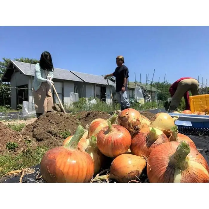 （福岡市）ダンボールコンポストセット（虫予防カバー：スタンダードタイプ）