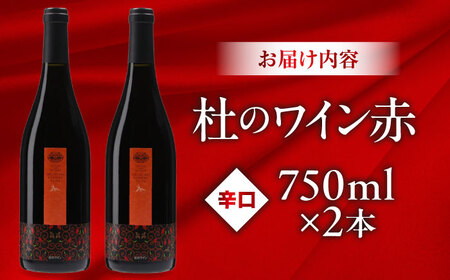杜のワイン赤 2本セット 奥出雲葡萄園 [AICS060]