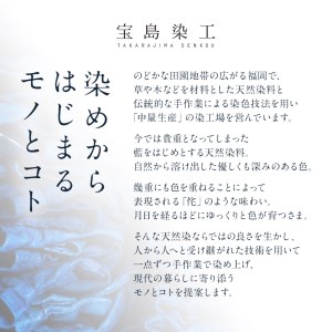 BIGベスト NAVY（藍染）　AO114