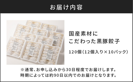国産素材にこだわった黒豚餃子120個 K111-015 肉 豚肉 惣菜 総菜 冷凍