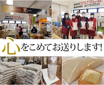 【3回定期便】令和7年産 コシヒカリ 5kg 定期便 精米 白米