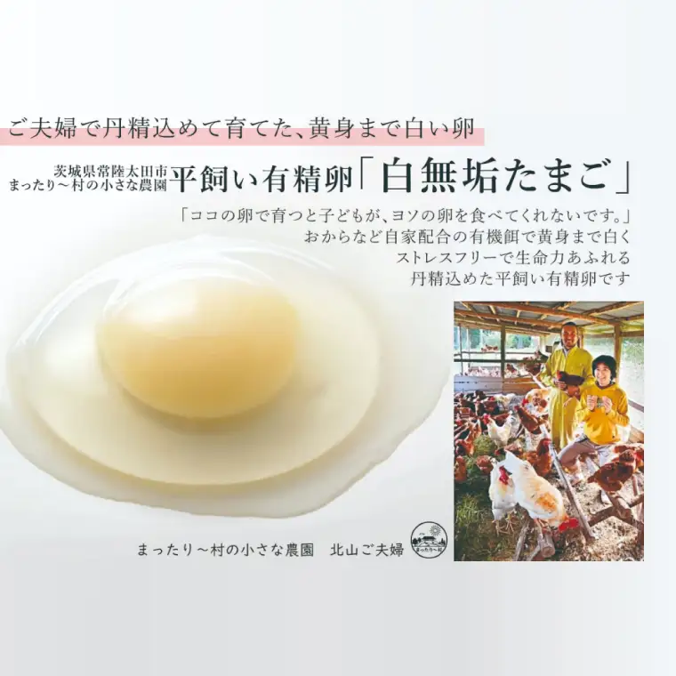 最高級和三盆糖を使用した無添加・オーガニックの優しいプリン3個「茨城おしゃらぐプリン」※北海道・沖縄本島・離島配送不可（EP-1）