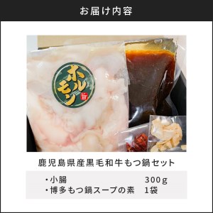鹿児島県 産 黒毛和牛 もつ 鍋 セット K328-011 肉 牛肉 冷凍