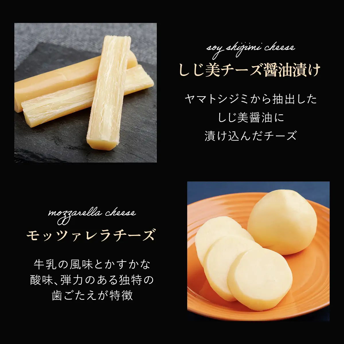 チーズオールスターズお試しセット OSA006 | チーズ