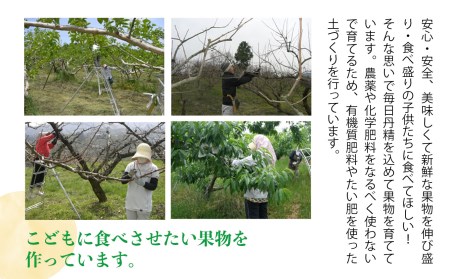青梅（ジュース・梅酒用）約5kg | 果実 かじつ カジツ 梅 うめ ウメ ジュース 奈良県 五條市 シロップ 