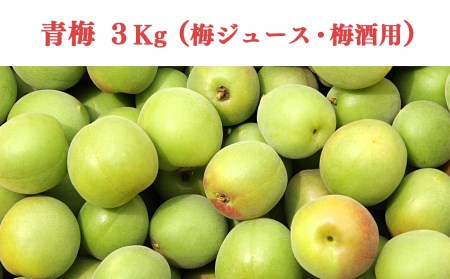 【堀内果実園】奈良県産 特別栽培 大切に育てた青梅(梅ジュース・梅酒用）3kg | 果実 6月 奈良県 五條市