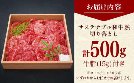 牛肉 サステナブル和牛 切り落とし(モモ/カタ/ロース） 500g  [AIAT018] 牛肉