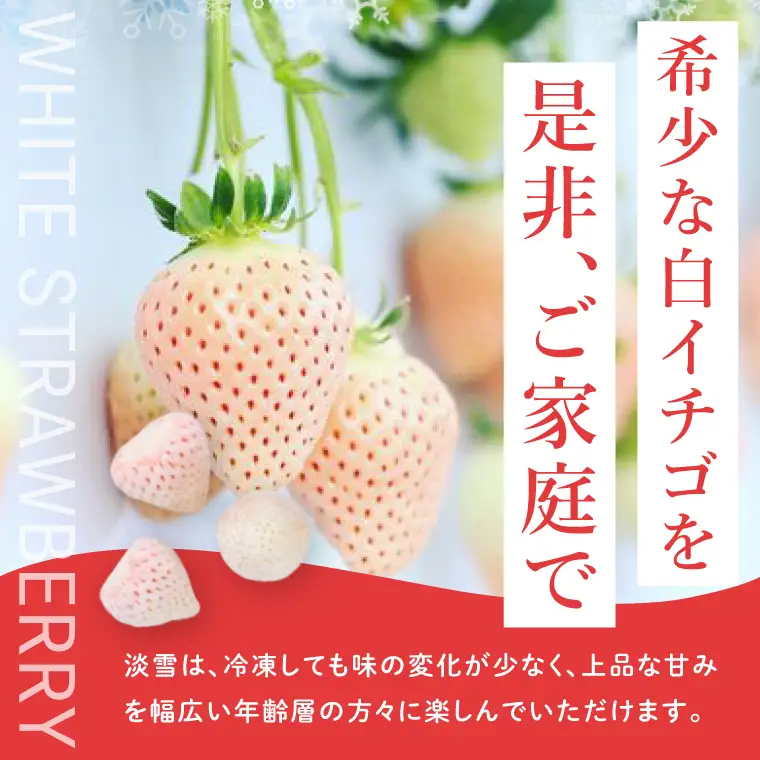 【数量限定】冷凍いちご 希少なプレミアム白イチゴ『淡雪』1kg入×2袋 合計2kg オリジナルレシピ有り（DO-1）