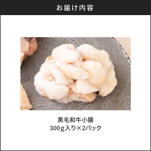 黒毛和牛 小腸 （ ホルモン ） 300g 入り × 2パック K130-002 肉 牛肉 冷凍