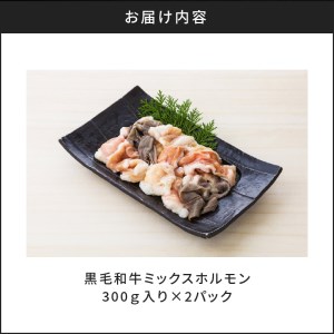 黒毛和牛ミックスホルモン300g入り×2パック K130-003 肉 牛肉 冷凍