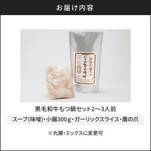黒毛和牛もつ鍋セット2～3人前 K130-004 肉 牛肉 冷凍