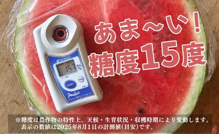 抜群の甘さ! スイカ 1玉 大玉 (6kg以上) 甘い 高糖度 西瓜 すいか 種なし 黒玉 産地直送