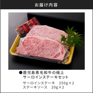 【5営業日以内に発送】鹿児島黒毛和牛の極上サーロインステーキセット 500g K134-003 肉 牛肉 冷凍 スピード配送 最短 すぐ届く お急ぎ