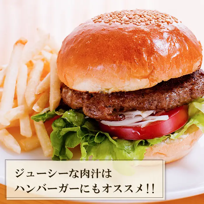 【12ヶ月コース】淡路島玉ねぎと国産牛の生ハンバーグ150g×10個 定期便 ハンバーグ