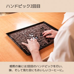 珈琲　自家焙煎　選べる３種×50ｇ／計150ｇ《森ノ本珈琲》（05-55）