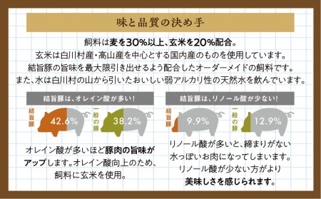 結旨豚醤油ステーキ 250g×2袋 4枚 結旨豚 ゆいうまぶた 白川郷 ブランド豚 国産 岐阜県産 味付き　 豚肉 豚ステーキ ステーキ 抗生物質 合成抗菌剤不使用 12000円[S392]