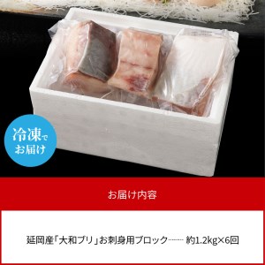 【6ヶ月定期便】大和海商 大和ブリの切り身たっぷりセット N072-YG0185