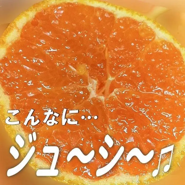 みかん 和歌山産 ［訳あり］ミカン 7 . 5kg ［ご自宅用・サイズ不揃い・キズ等あり］