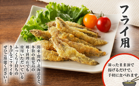 【 津曲商店 】 きびなご 、刺身用 たかえび セット 2.2kg K100-002 魚 冷凍