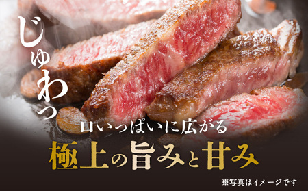 【全3回】黒毛和牛ステーキ3部位食べ比べ K098-T02 肉 牛肉 冷凍