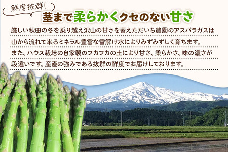 《先行受付》アスパラガス 800g 7月上旬～8月下旬発送 