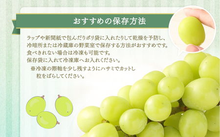 【先行予約】【数量限定】シャインマスカット2kg　(2～6房) 「2026年7月下旬より順次出荷予定」 BS-714