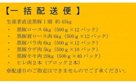 MS-602 かごしま黒豚1頭まるごと 約45kg 【一括配送便】 生産者直送 薩摩八重ファーム 工房みかく亭