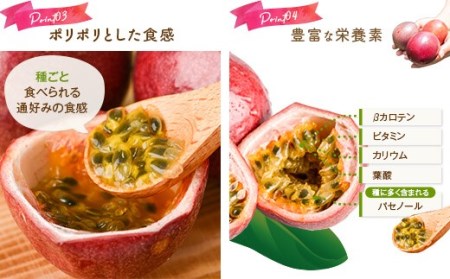 【数量限定】 甑島のパッションフルーツ 青果2.5kg ご自宅用 こしき姫 南国フルーツ 甑島 パッションフルーツ BSR-863