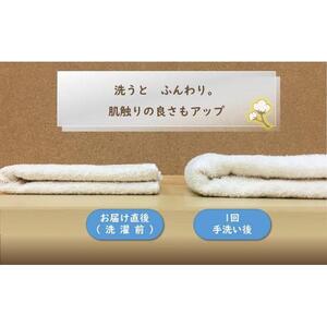 【泉州タオル】サロン仕様オーガニックタオル　バスタオル3枚