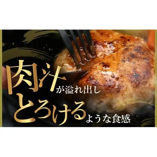 石垣島産 やえやまファームのアグー豚(南ぬ豚) 網脂ハンバーグ食べ比べセット(3種×各2個) 