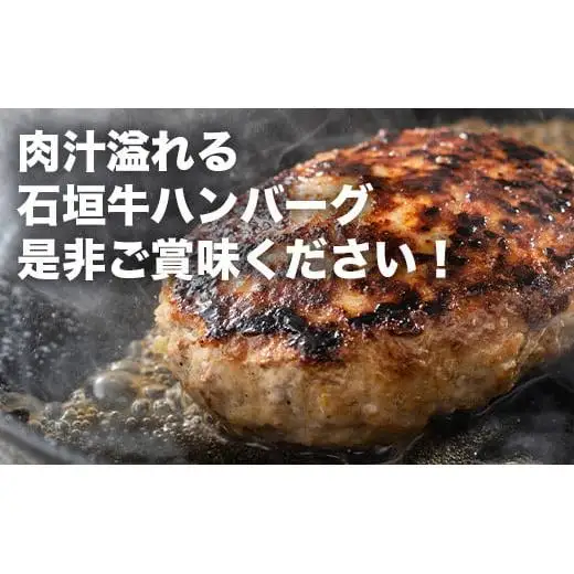 やえやまファームの石垣牛ハンバーグ 6個セット E-27