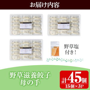 isa426 野草滋養餃子「母の手」(計45個・15個×3P)ギョーザ ぎょうざ 鹿児島 手作り ギョウザ 豚肉 冷凍食品 おかず おつまみ 惣菜 小分け 焼くだけ 簡単調理 冷凍便【やさしいまち】