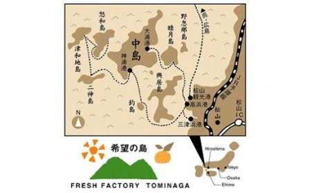 希望の島 だいだい果汁 150ml×6本【FT009_x】ﾐｶﾝﾐｶﾝﾐｶﾝﾐｶﾝ